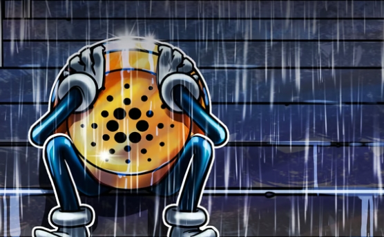 为什么 Cardano 12月20日价格下跌？